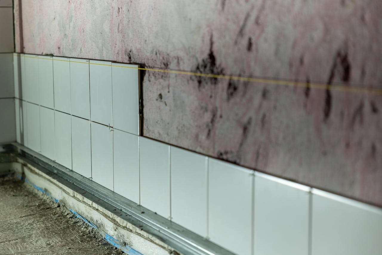 Home Mold Inspection Process Video: What AirGuard Looks For