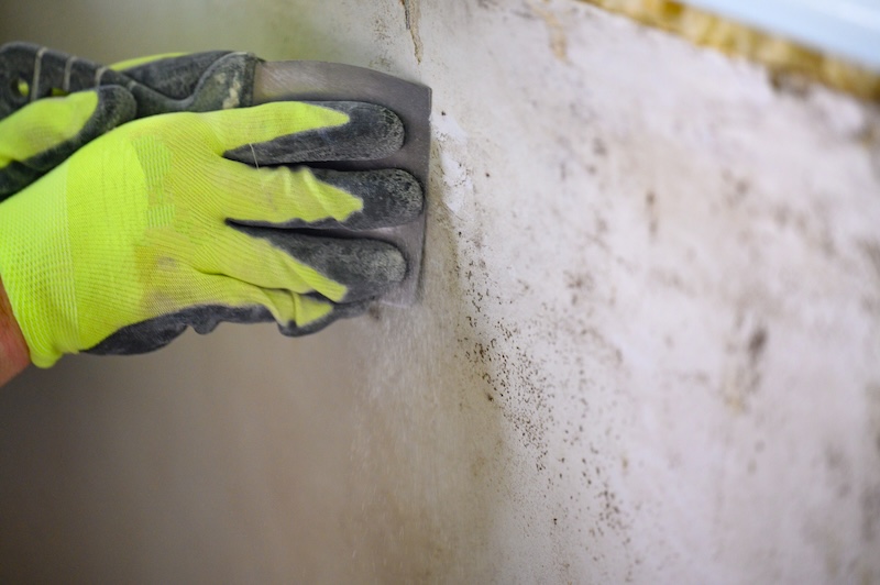 AirGuard mold removal image