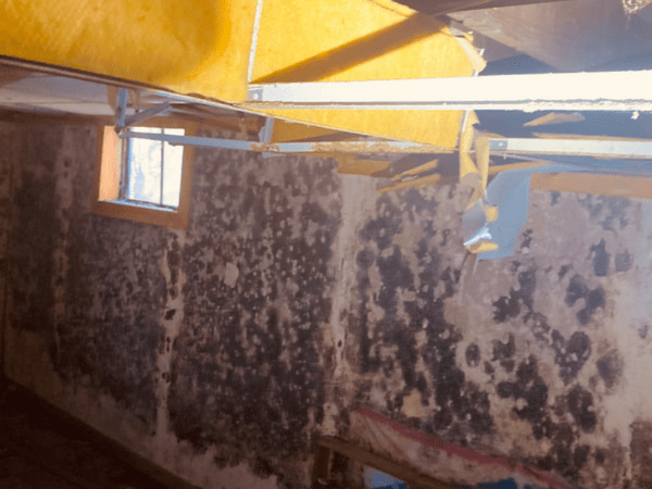 Mold Testing in Aurora